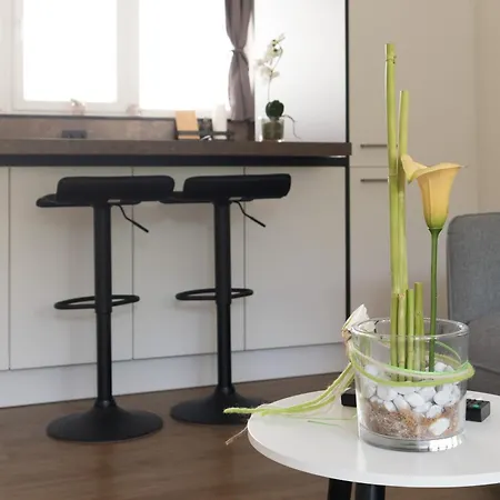Apartment 100m Zum Ulmer Muenster: 57m² An Der Blau Ulm