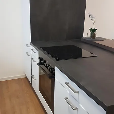 100m Zum Ulmer Muenster: 57m² An Der Blau 아파트 *